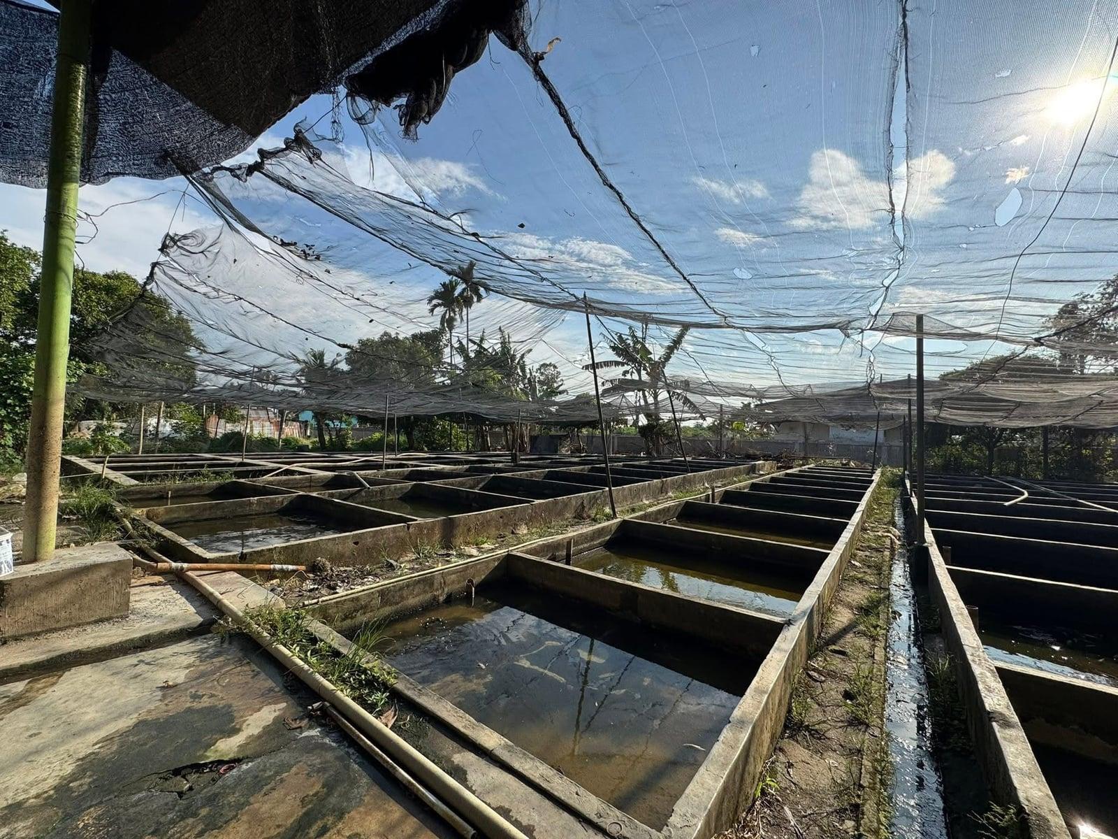 Sui Fish Farm facility